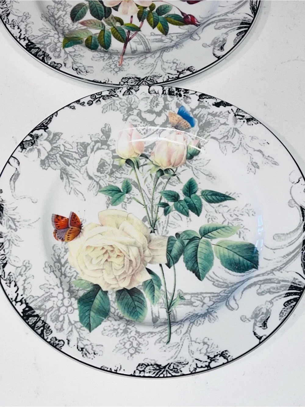 American Atelier Rose Toile Porcelain 8” Salad Plate Floral Set of 4 #5232